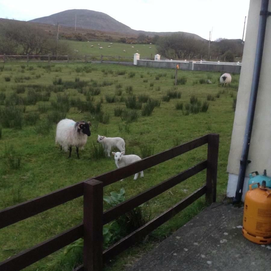 Sea View Chalet Kilsallagh Westport Co Mayo Екстер'єр фото